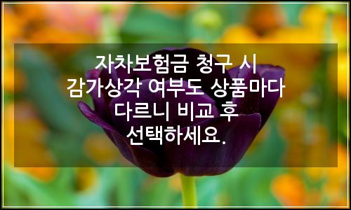 오늘의 이미지