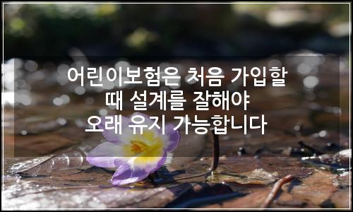 오늘의 이미지
