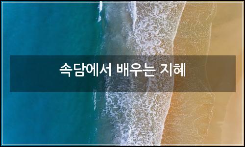 오늘의 이미지