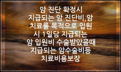 오늘의 이미지