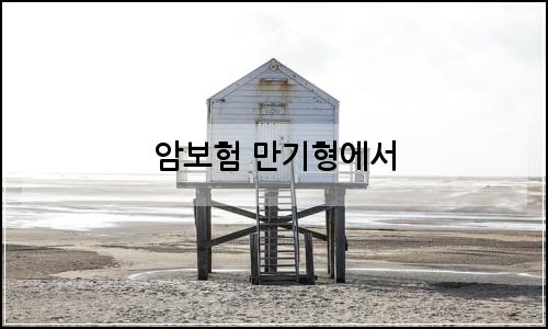 오늘의 이미지