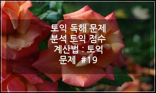 오늘의 이미지