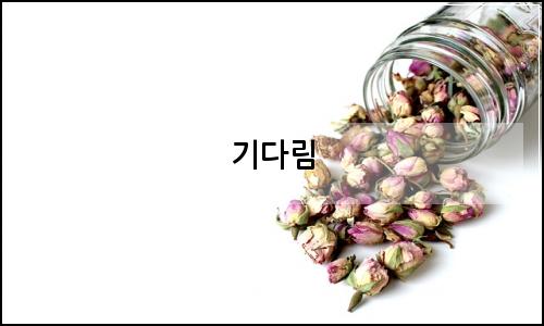 오늘의 이미지