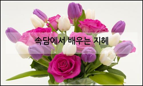 오늘의 이미지