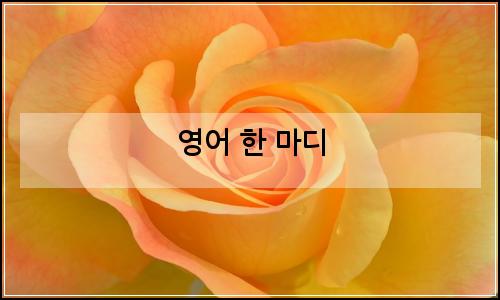 오늘의 이미지