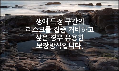 오늘의 이미지