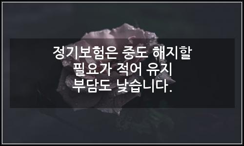 오늘의 이미지