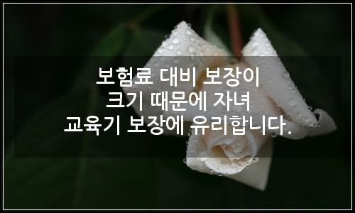 오늘의 이미지