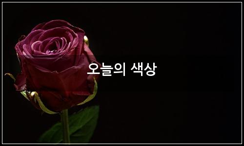 오늘의 이미지