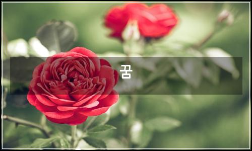 오늘의 이미지
