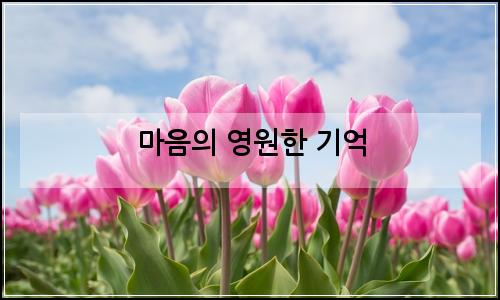오늘의 이미지