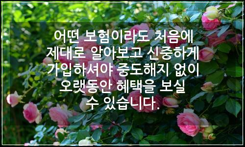 오늘의 이미지