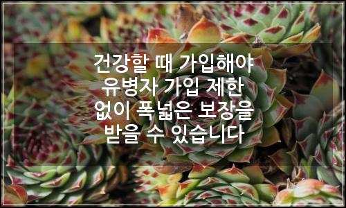 오늘의 이미지