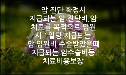 오늘의 이미지