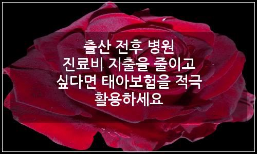 오늘의 이미지