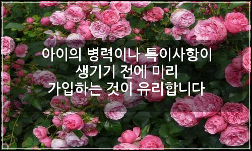오늘의 이미지