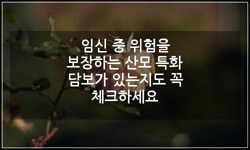 오늘의 이미지