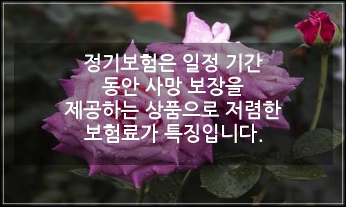 오늘의 이미지