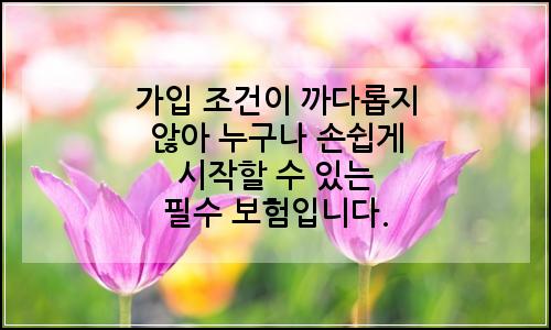 오늘의 이미지