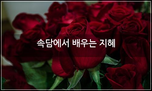 오늘의 이미지
