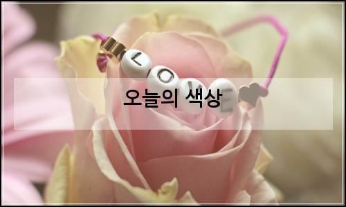 오늘의 이미지