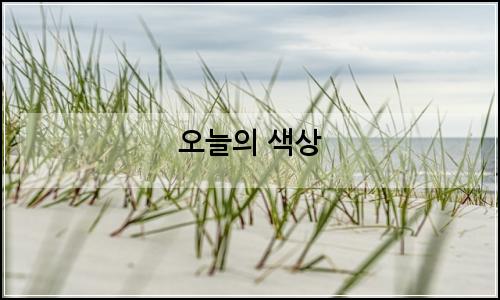 오늘의 이미지