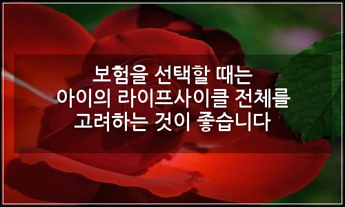 오늘의 이미지