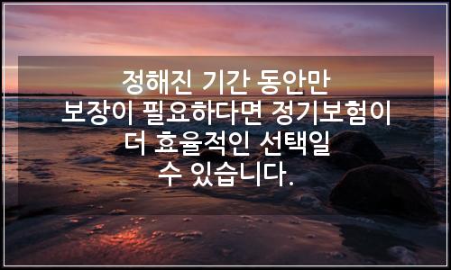 오늘의 이미지