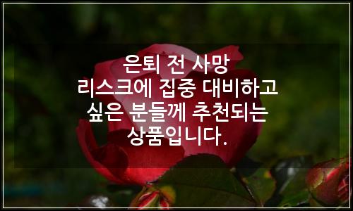 오늘의 이미지