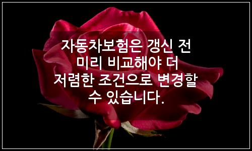 오늘의 이미지