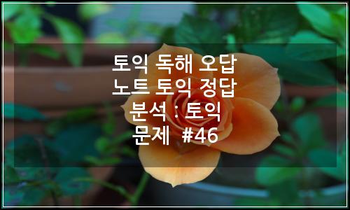 오늘의 이미지