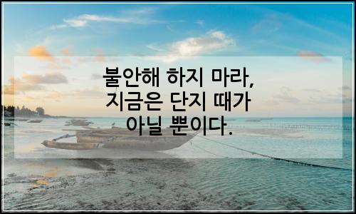 오늘의 이미지