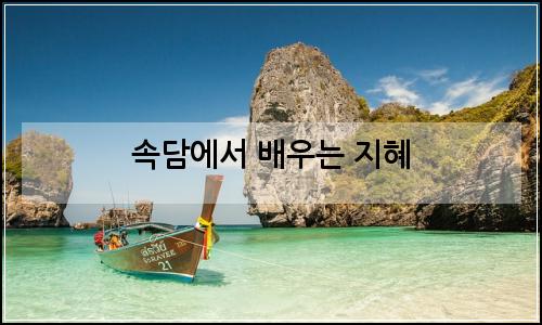 오늘의 이미지