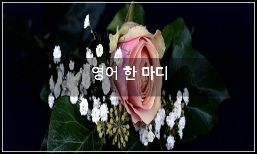 오늘의 이미지