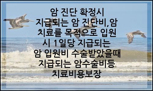 오늘의 이미지
