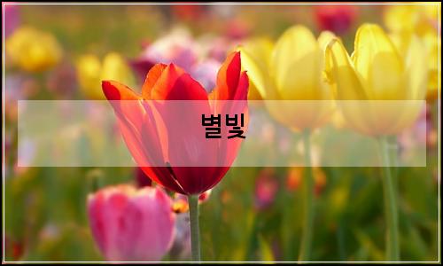 오늘의 이미지