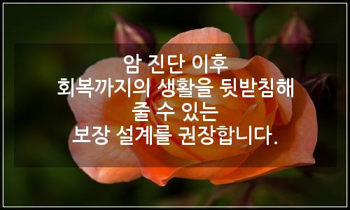 오늘의 이미지