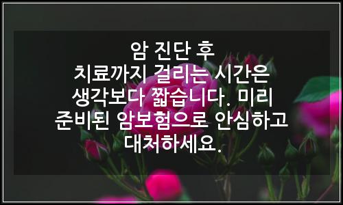 오늘의 이미지
