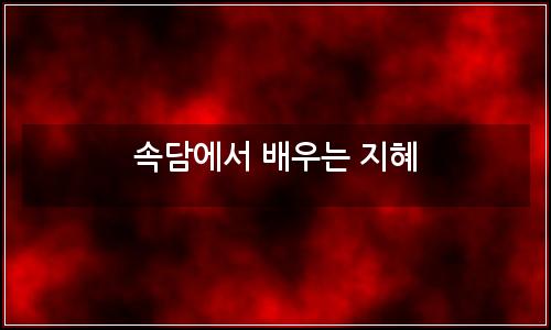 오늘의 이미지