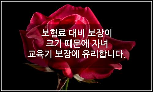 오늘의 이미지