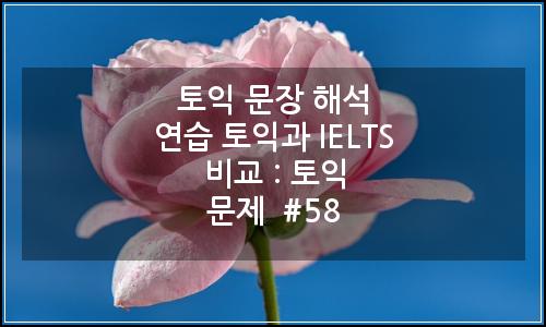 오늘의 이미지