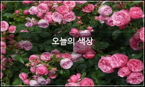 오늘의 이미지
