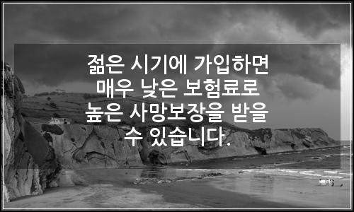 오늘의 이미지