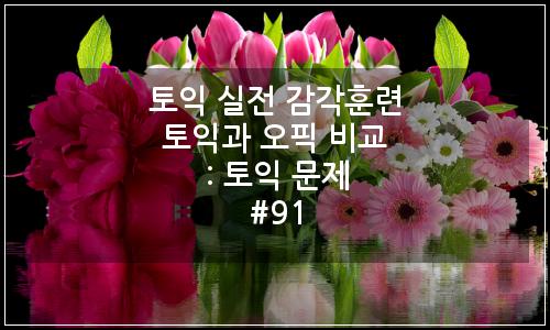 오늘의 이미지