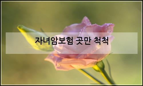 오늘의 이미지