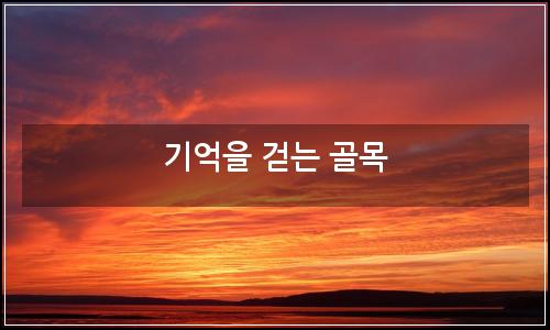 오늘의 이미지