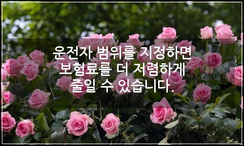 오늘의 이미지