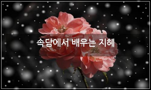 오늘의 이미지