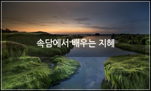 오늘의 이미지