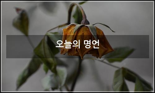 오늘의 이미지